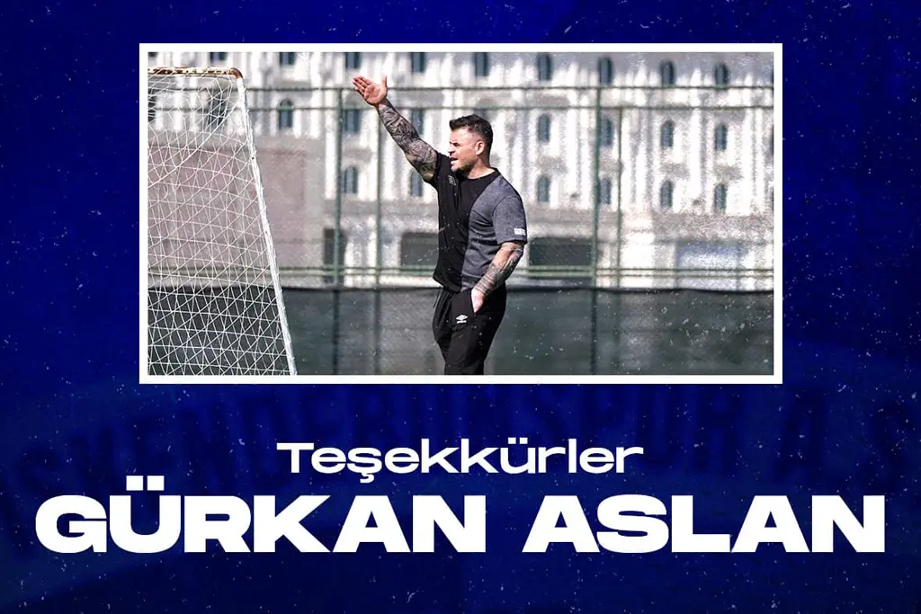 Teşekkürler Gürkan Aslan